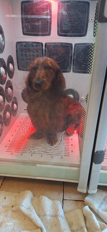 [Image: 20250305-161257.jpg]