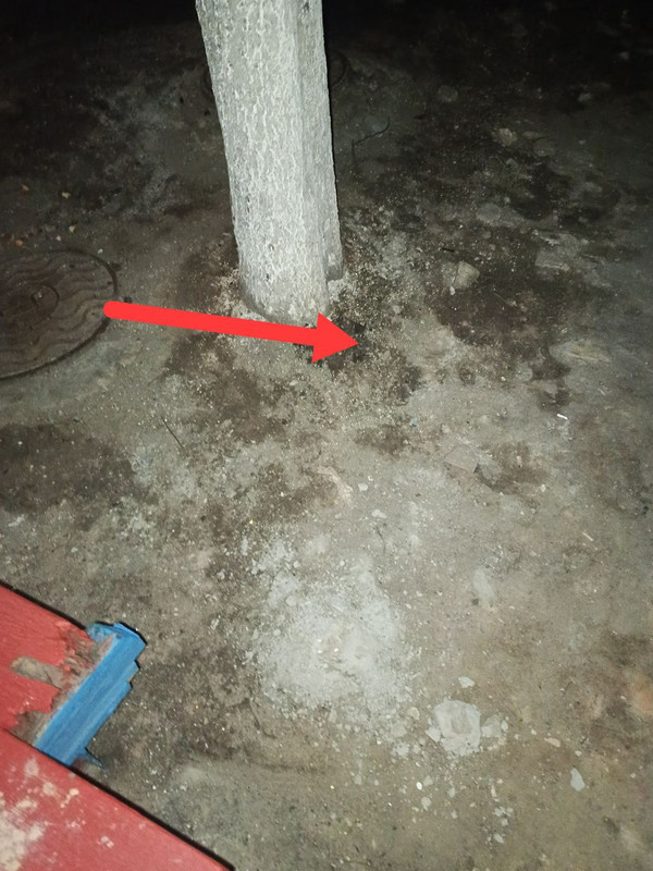 IMG 20260314 153726 899