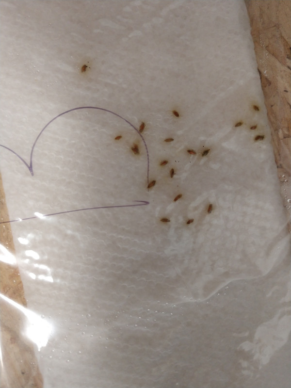 IMG_20170910_133510491