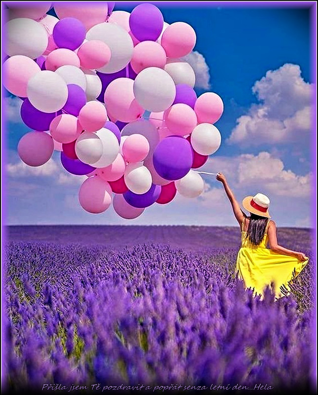 denletní17.8.23úúúúpr