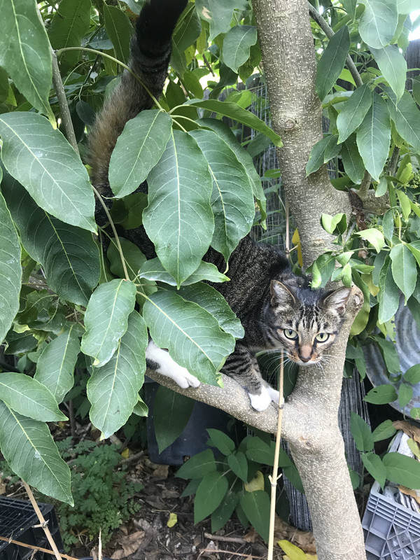 AC87819C-9160-45B9-AA36-6C1FF370696B