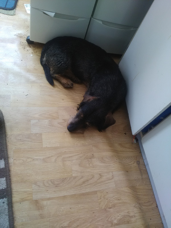 [Image: IMG-20220502-184017.jpg]