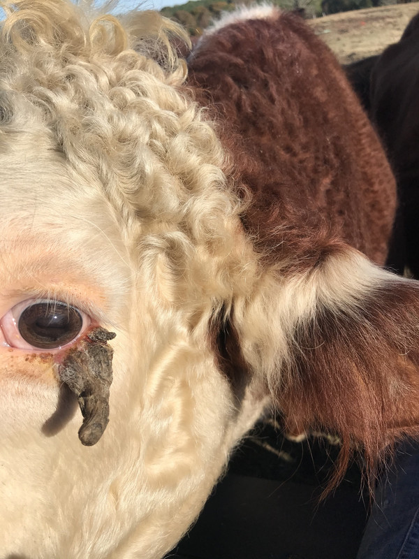 EE9E8509-71C9-49E7-9ED7-AEEF1A794DEC