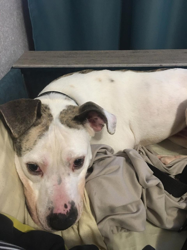 E22C664D-5D21-4681-9430-151226E2E839