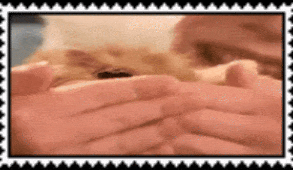 furbystamp2
