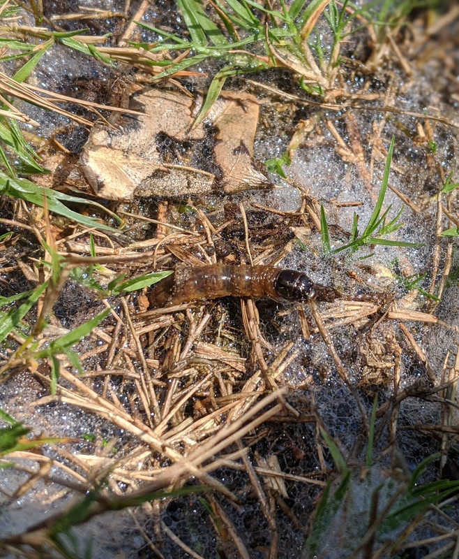 IMG_20200808_121423~2