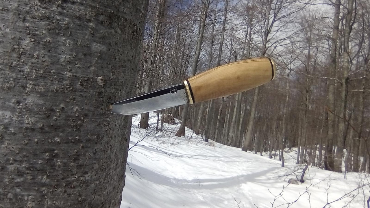 IMG_20190313_143038(0)