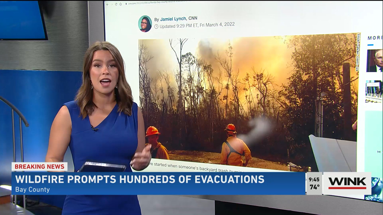 WINK News at 9 00 a.m. 2022_03_05_14_00_00.ts_snapshot_00.48.42.164