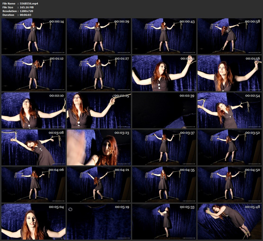 556B556.mp4