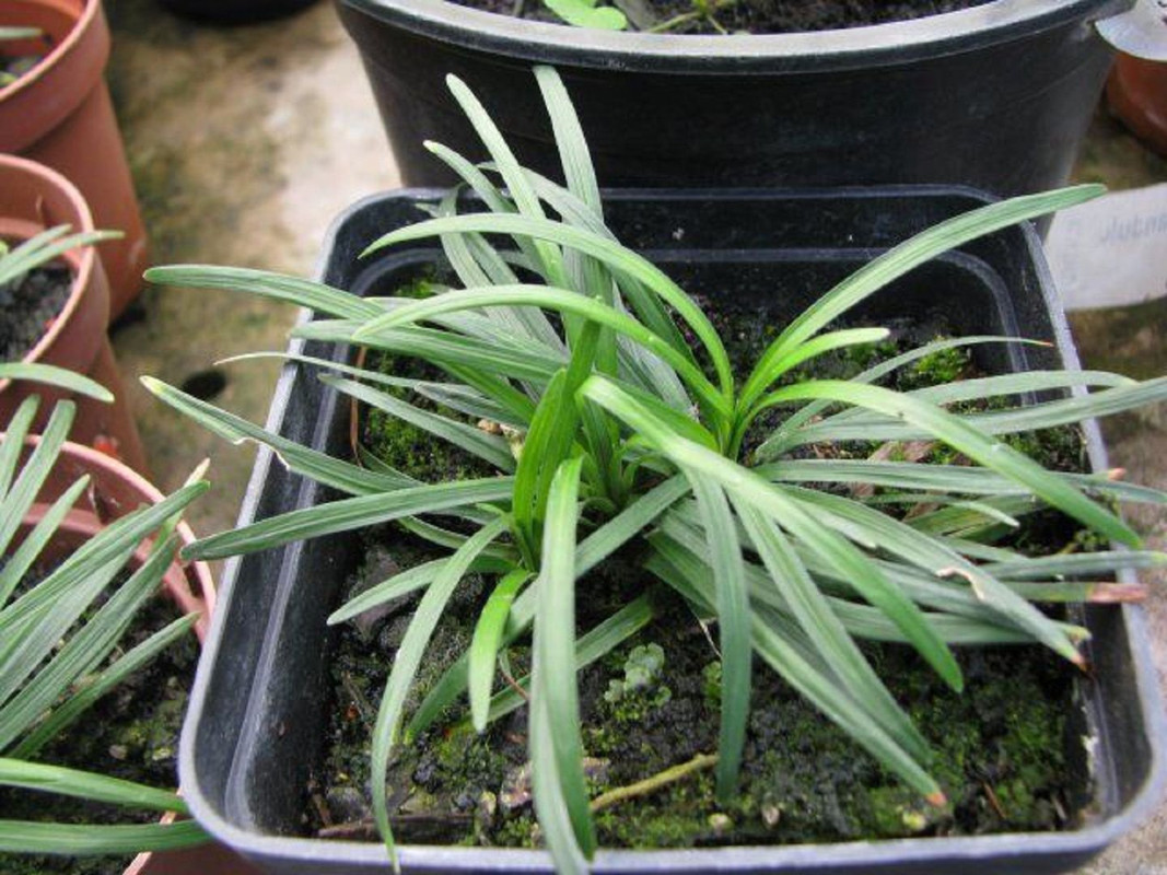 0789E456-43AB-42B8-88D9-E63D97BA18FB