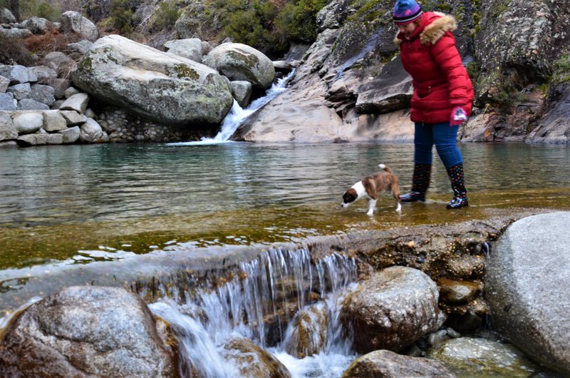 EL CHARCO VERDE-7-2-2015-AVILA - Paseando por España-1991/2016 (8)