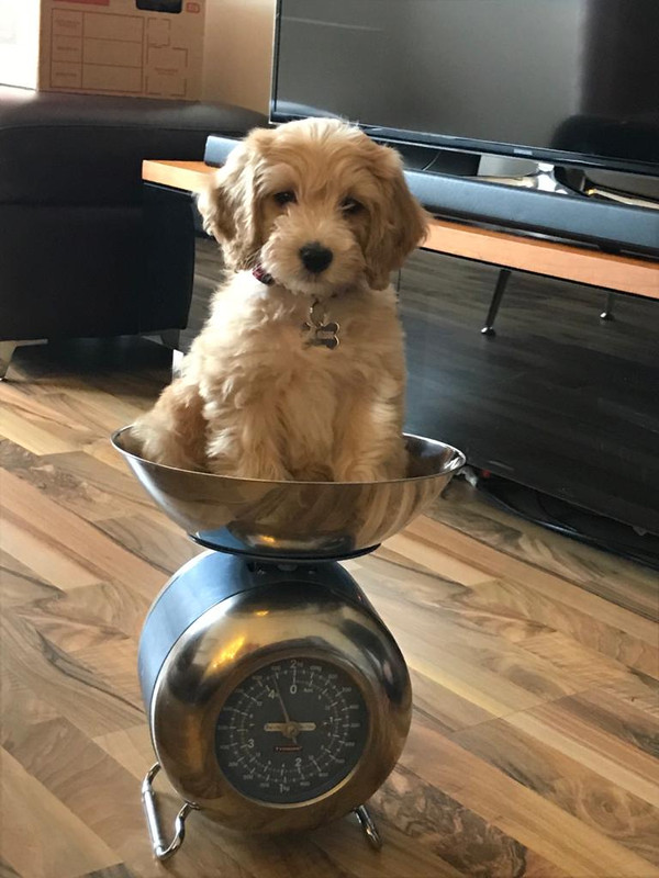 9-D1-B2-EBE-2-B8-C-49-B6-862-A-05-F3228-EA821