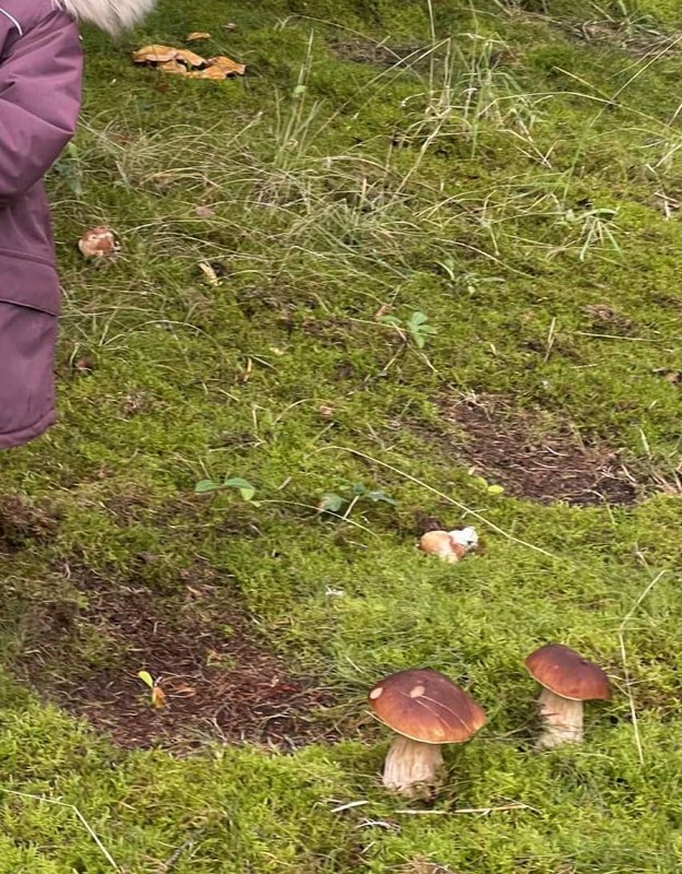 Изображение WhatsApp 2025-09-16 в 23.25.47_1b24f4fc