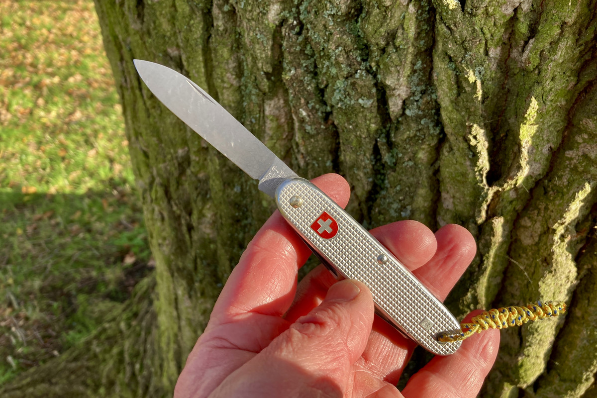 D2AE5771-0D26-4172-A3CA-94A4B118CCA9