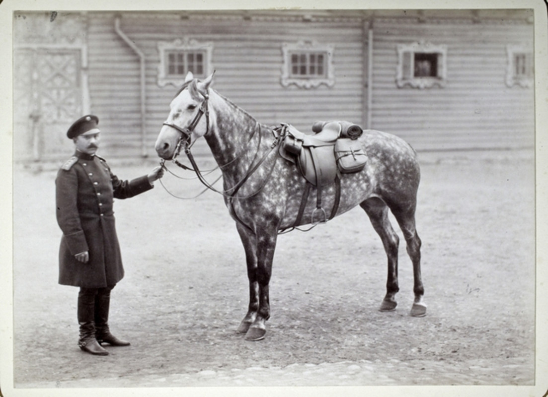 1891 Satuloitu ratsuhevonen sotilaspalvelijan pitelemänä pihalla-4