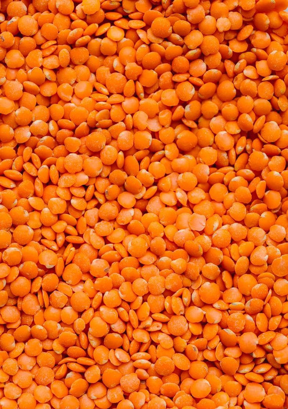 Red Lentils