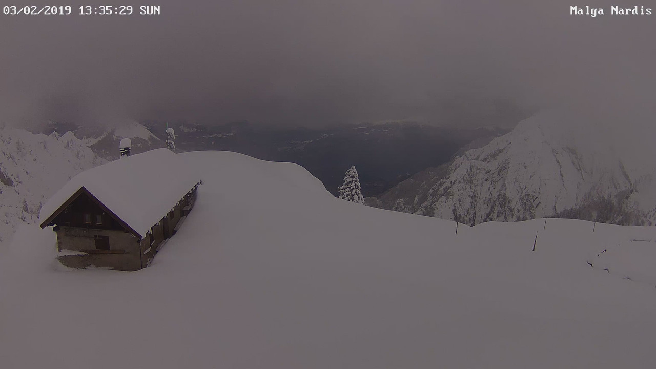 Preview_Malga Nardis_01_20190203_133537_223381515