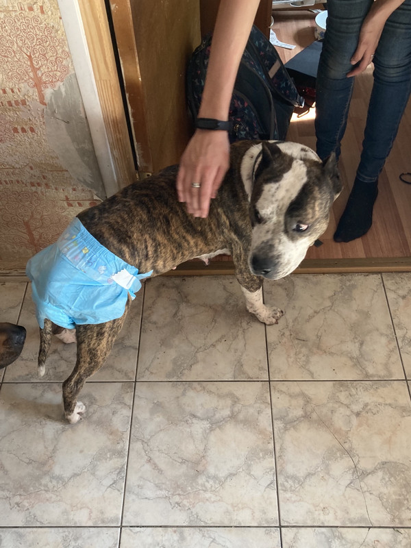 48F33854-F0C6-419A-9D4B-95C2C387B356