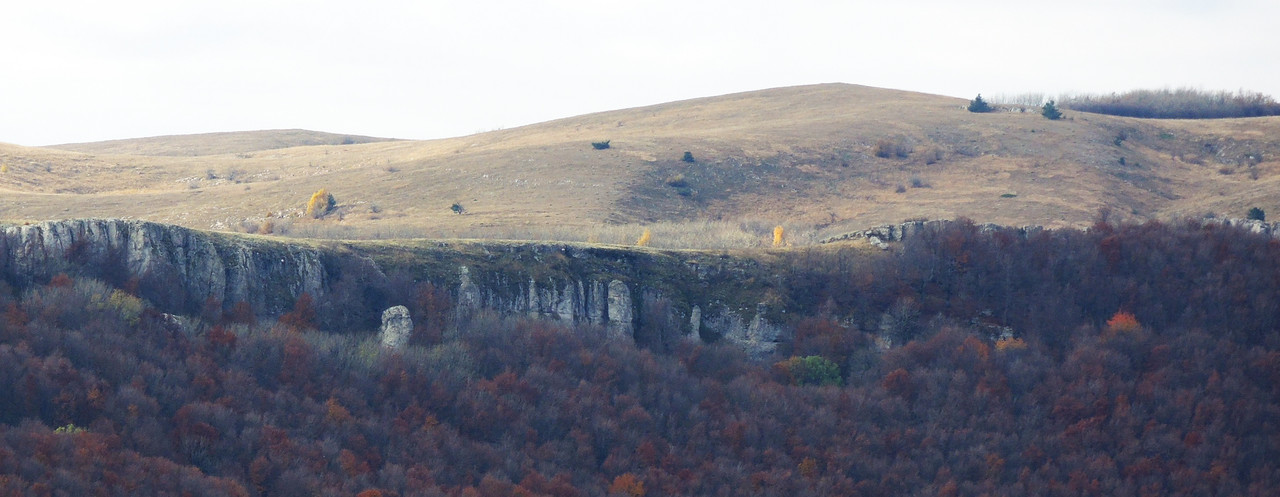 DSCN9481 обр