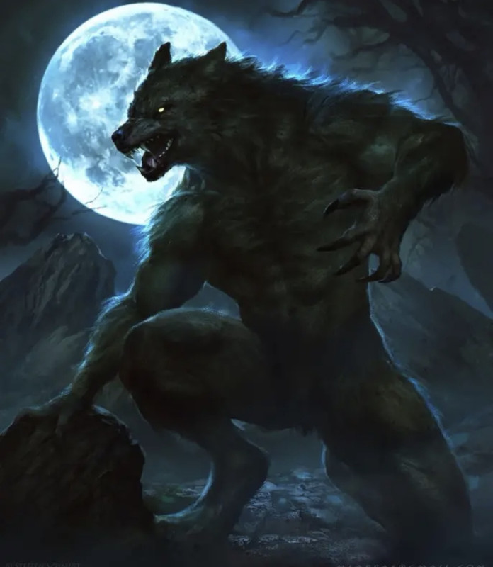 B2F51074-38C1-4F44-99A2-86A158D701F1