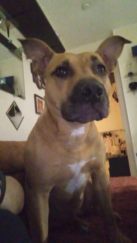 6F0EDD49-2880-4591-A6CB-678FD643BB93