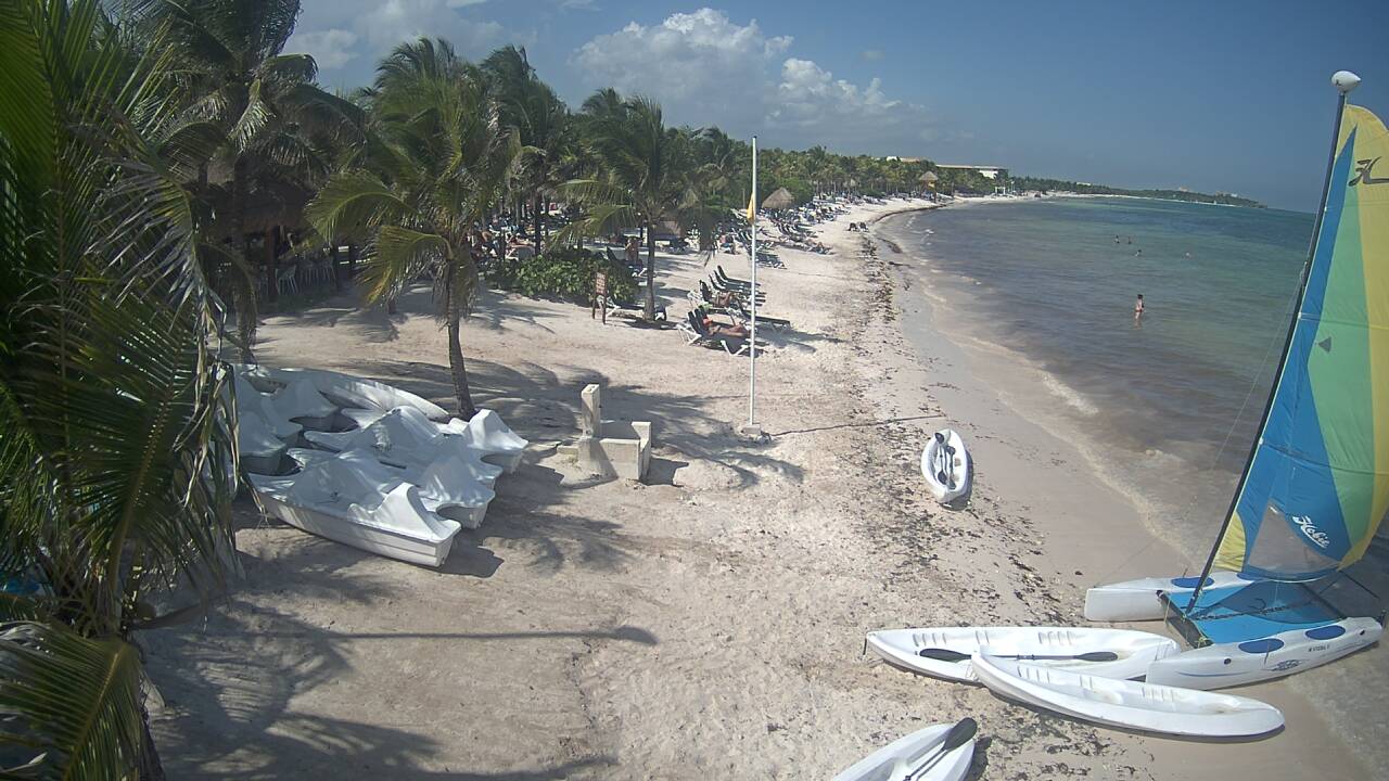 Algas en las playas de Riviera Maya (Sargazo) - Foro Riviera Maya y Caribe Mexicano