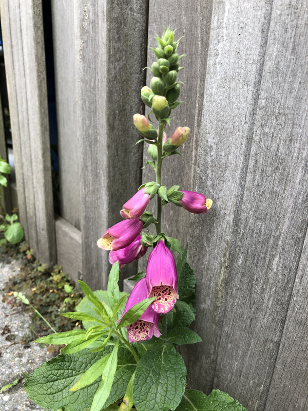 FFBFE312-C81D-4894-9233-79469C1E2489