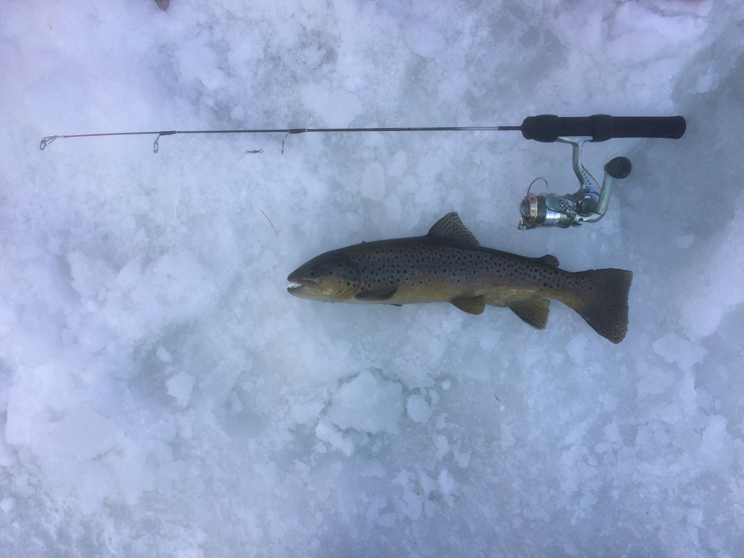 43A9AAE0-1E0E-4832-A2D6-F7B3D5D4522F