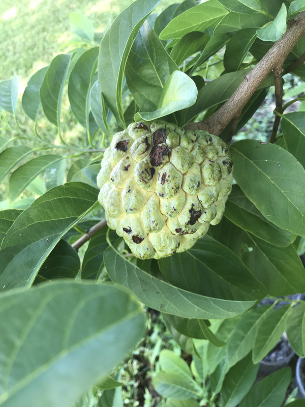 64100761-81FF-439E-AE4E-1F5F9F36FDCC