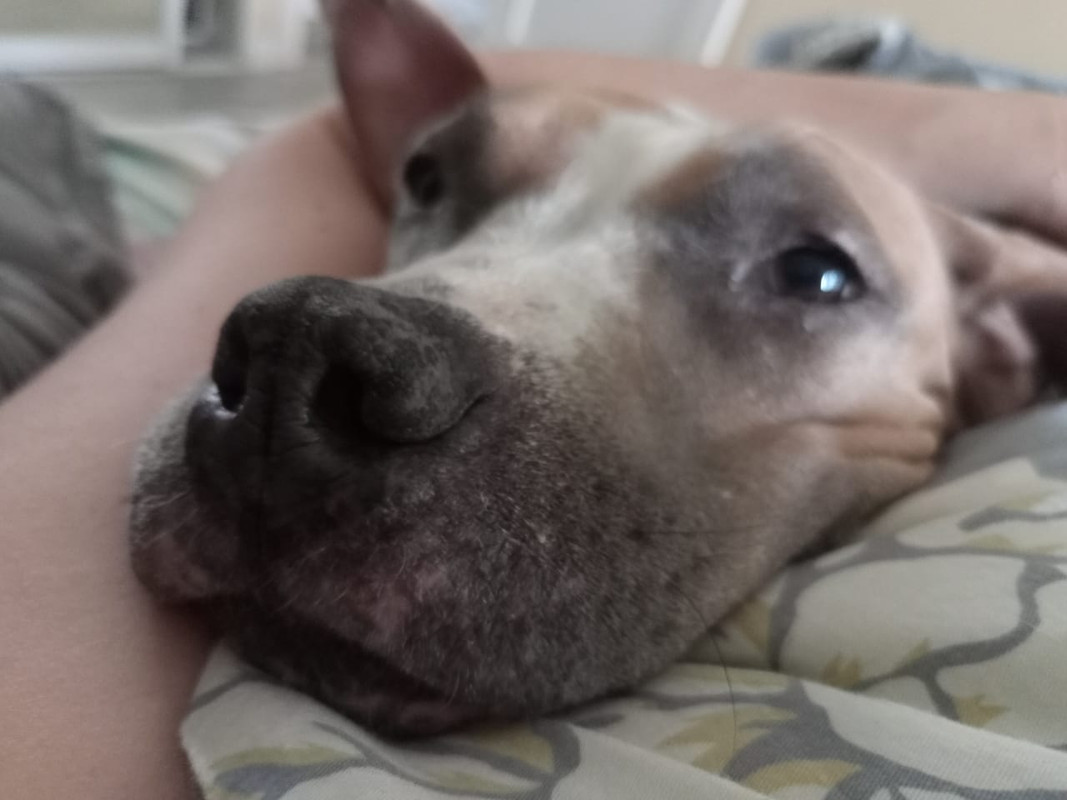 43A2F2A0-7E14-4DA4-91E4-6E7054563B76