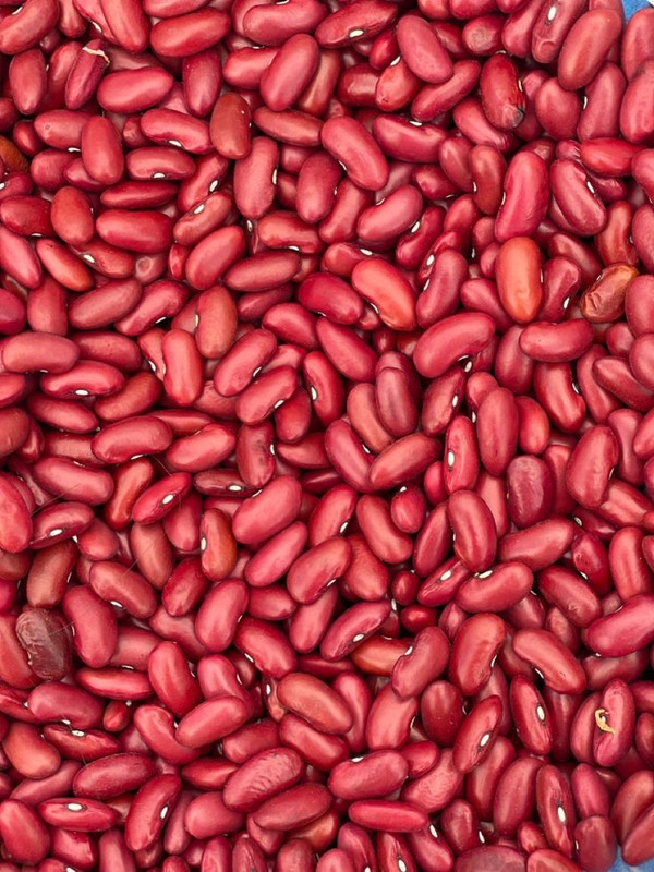 Red kidney beans dark