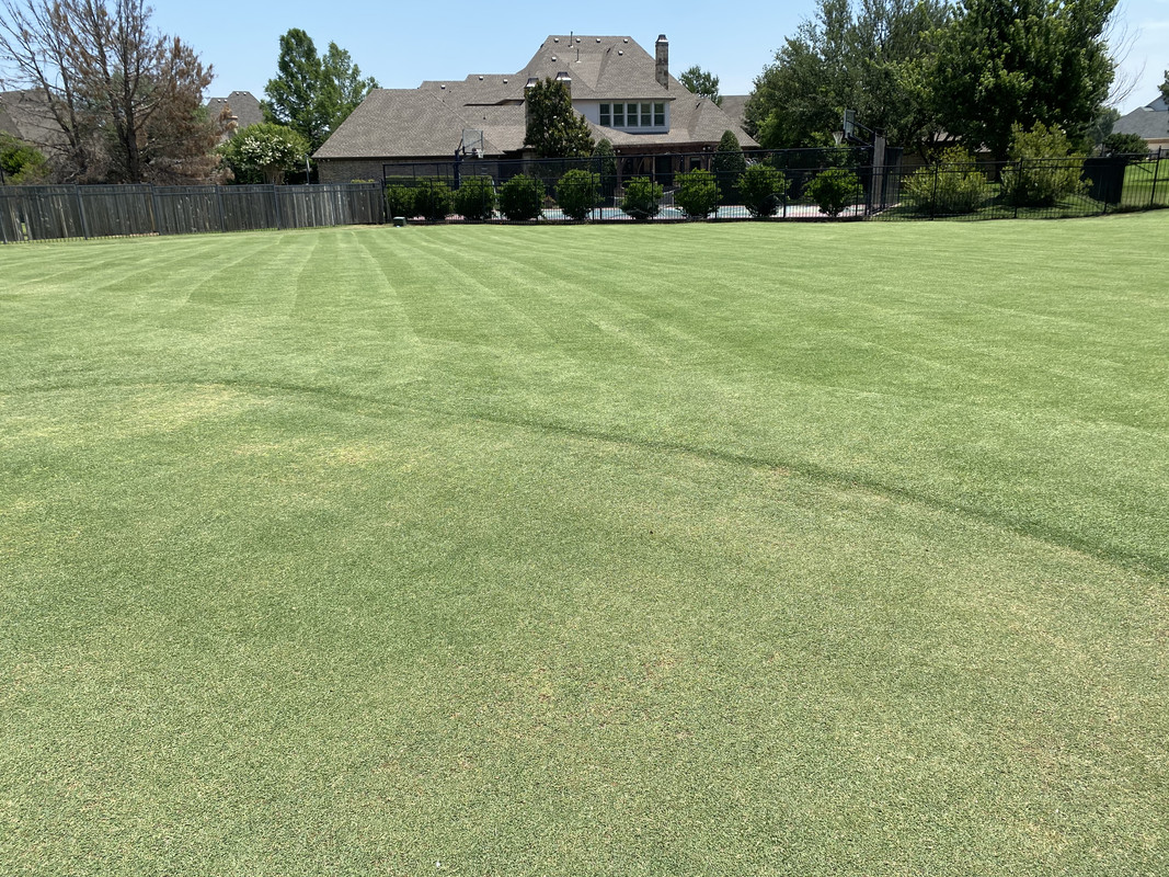 539DF43C-99CD-4215-B4CD-981351C98A03