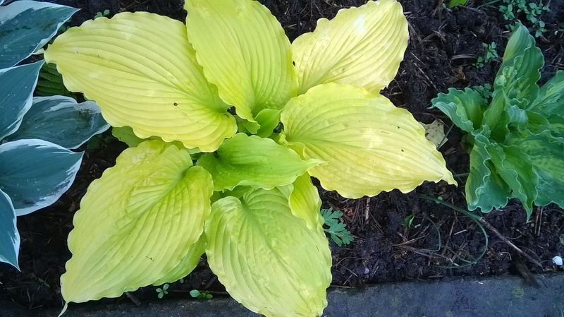 WP_20160507_004