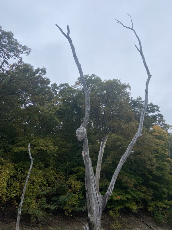 FB97F900-7E96-4E89-8095-257D639610F7