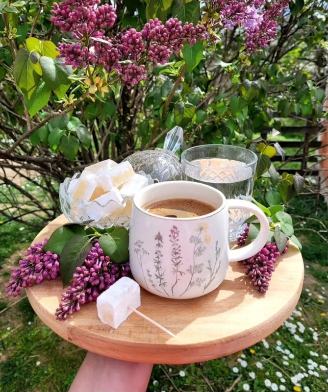 Screenshot_20240425_204818_Threads