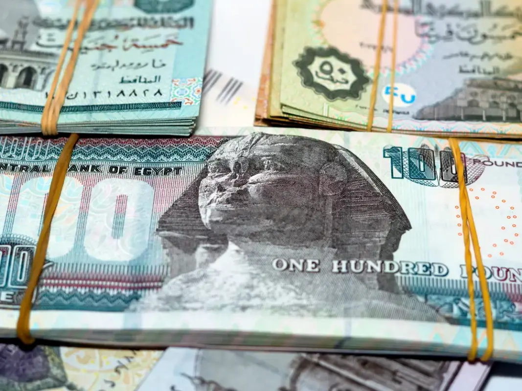 المركزي يثبت سعر الفائدة عند 18.25% و19.25% 