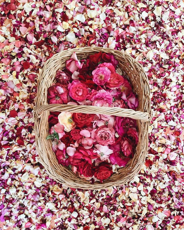 ���� ���� ������ �� ���� ������