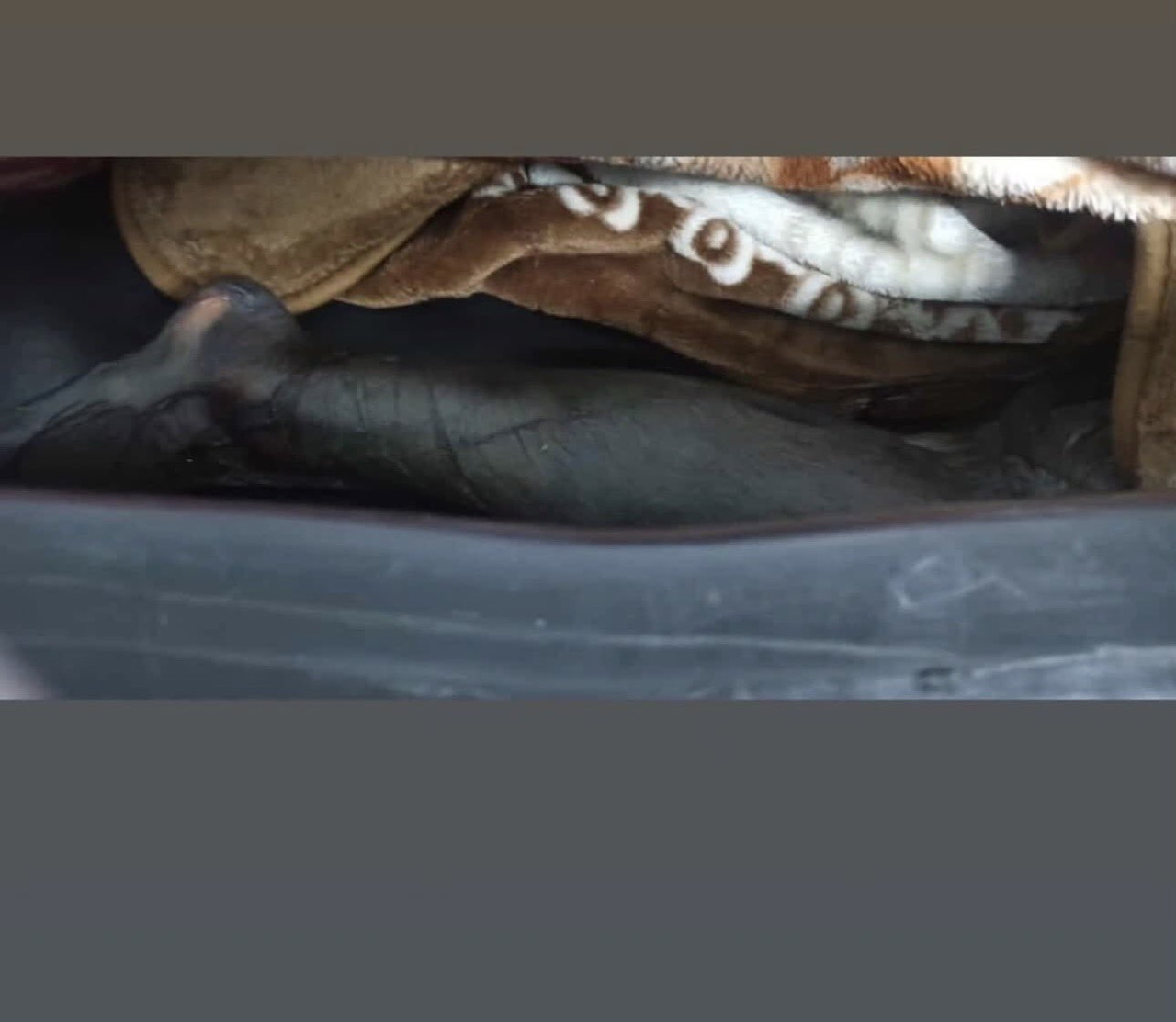 ۲۰۲۶۰۲۲۰ ۰۷۰۴۱۷