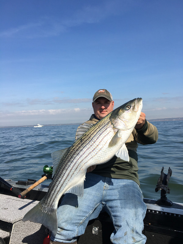 500885D4-9E64-4B53-8126-F413F0ED48CF