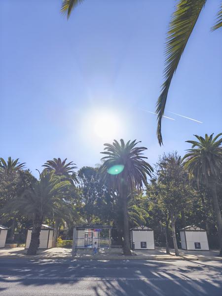 Vuelo a Málaga y después a Londres - Málaga y Londres (51)