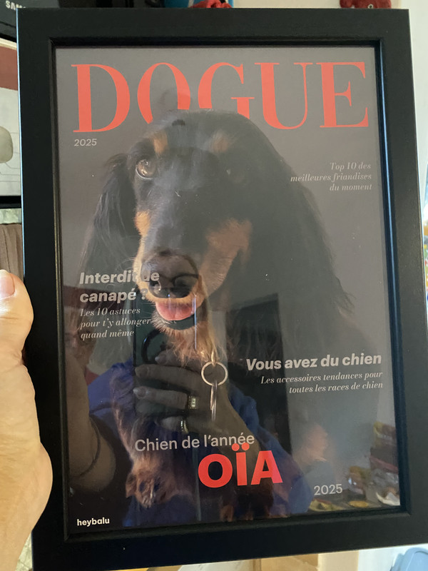 [Image: IMG-6580.jpg]