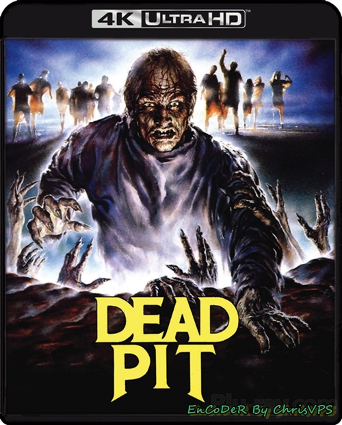 Trupi Loch / The Dead Pit (1989) MULTI.HDR.2160p.BDRemux.DTS.HD.MA.AC3-ChrisVPS / LEKTOR i NAPISY