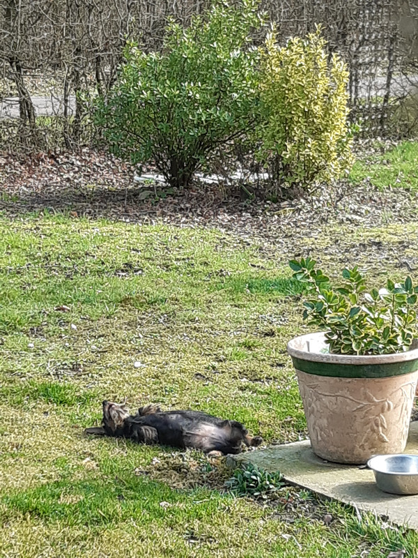 [Image: 20230312-145428.jpg]