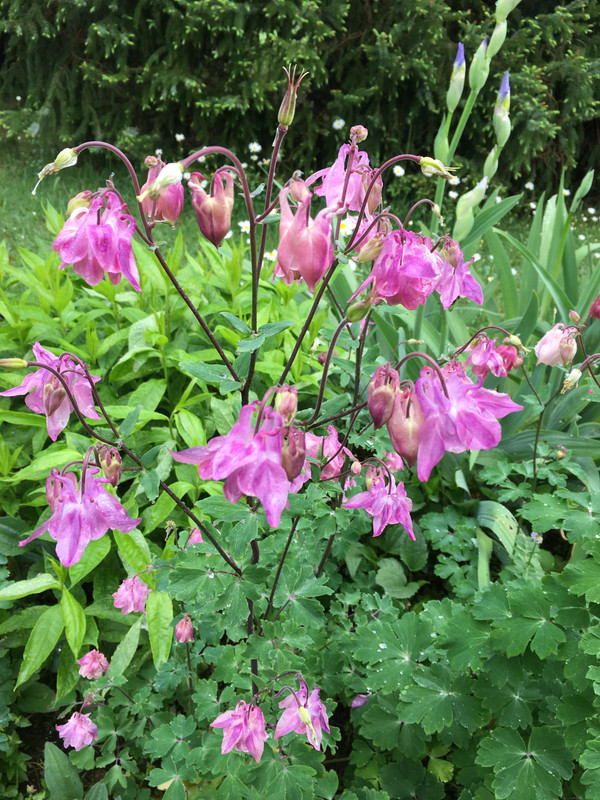 9AF32E0B-CC31-45B9-89E4-59494F1DD263