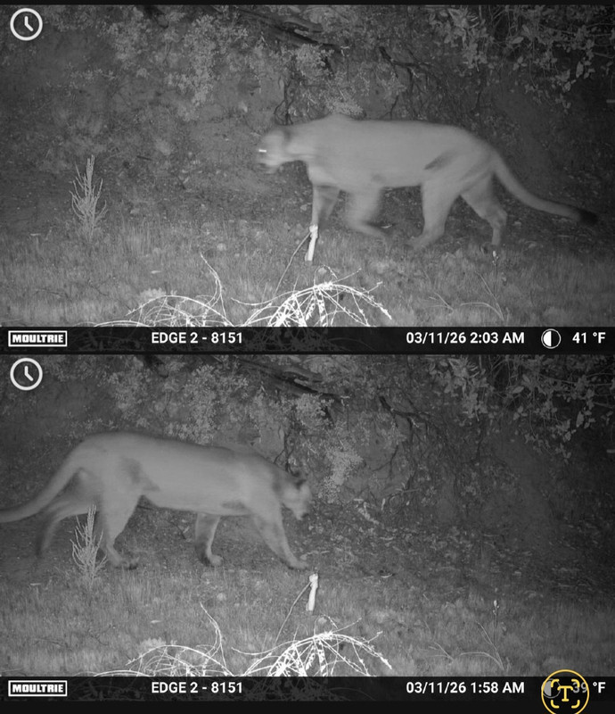 Screenshot 20260311 123053 Gallery