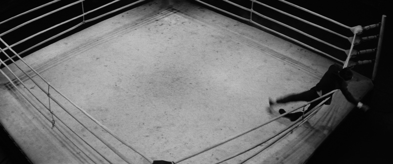 vlcsnap-2025-01-21-03h22m16s077