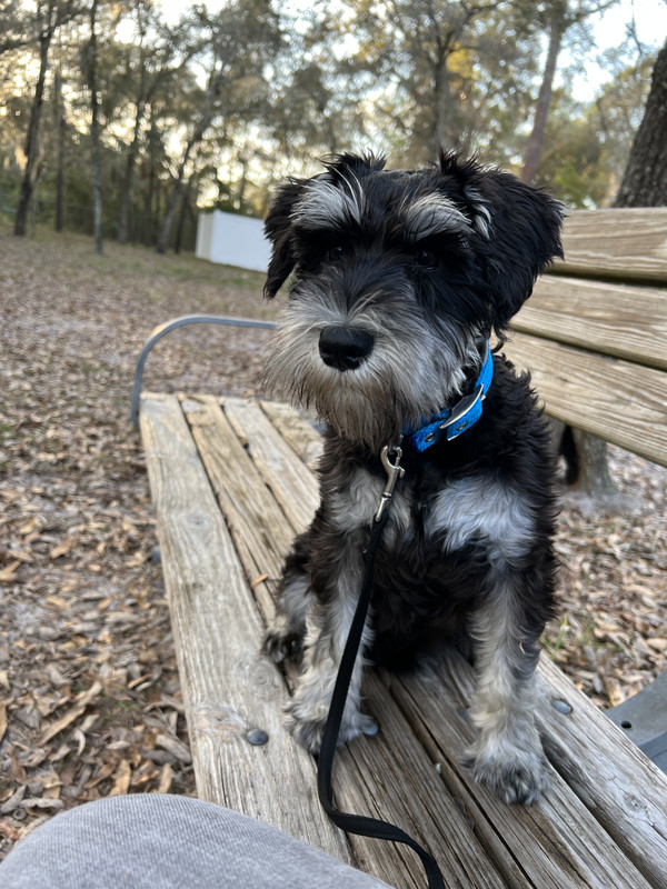 D17F6D18-94BA-47FB-A003-1976F90E75DF