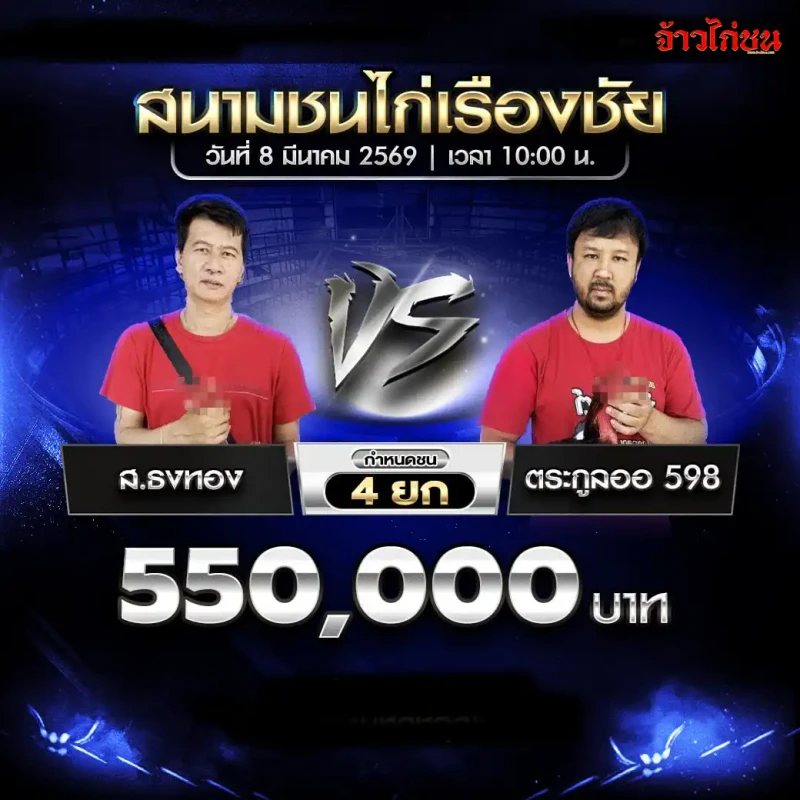 โปรแกรมไก่ชน ส.ธงทอง vs ตระกูลออ 598 สนามชนไก่เรืองชัย 8 มีนาคม 2569