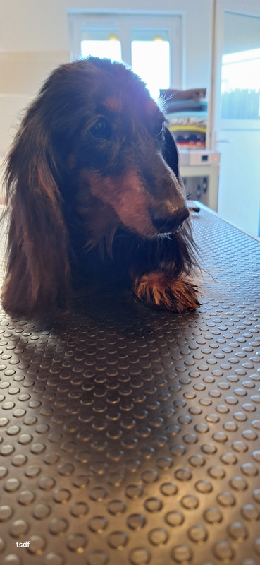 [Image: 20250305-170328.jpg]