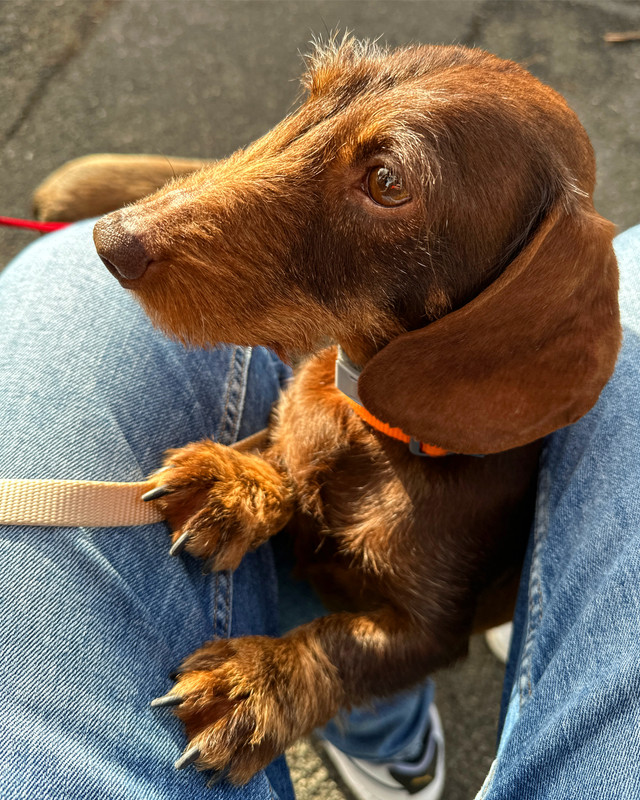 [Image: B1-D579-B5-E14-A-4601-AFBA-08-E4-F4198-FC3.jpg]